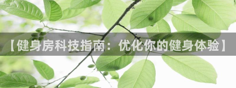 尊龙凯时平台信誉怎样